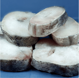 Cut of fish meat
