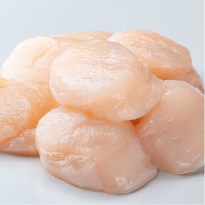 Scallop