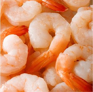 Fresh shrimp